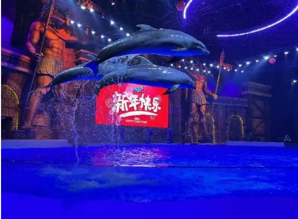 北极光:开始安卓汉化版来了！7.5G超大容量等你体验