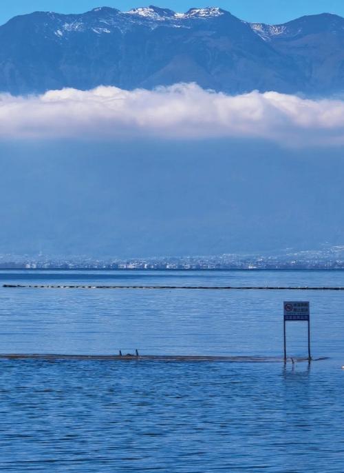 生化危机春游戏下载教程：避坑指南与资源推荐