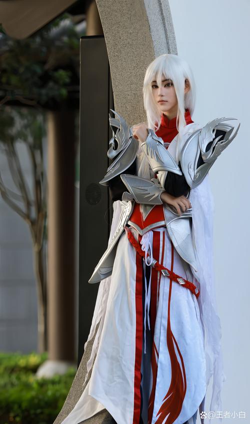 coser1下载地址大全,避免下载陷阱