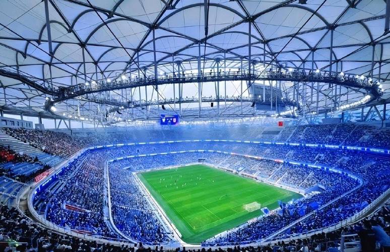 卡迪夫城蓝鸟军团最新:球队降级,球迷抗议声不断