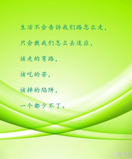 改变生活的选择安卓汉化版：你的每一次选择都至关重要