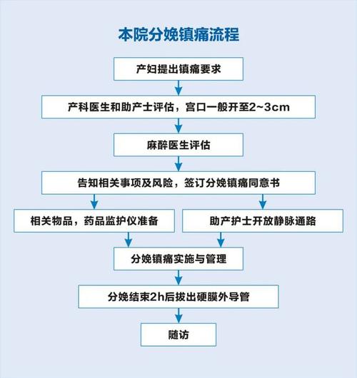 妇科医生游戏介绍：轻松有趣的孕产游戏推荐