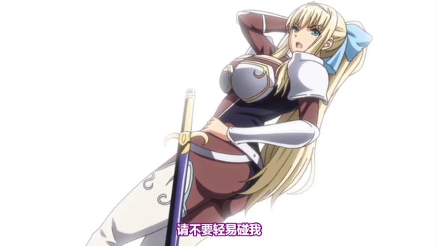 圣骑士大人与魅魔从者杨过游戏:绅士向RPG游戏推荐