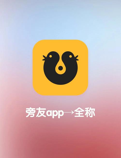 陌生人社交APP下载指南：摆脱孤独