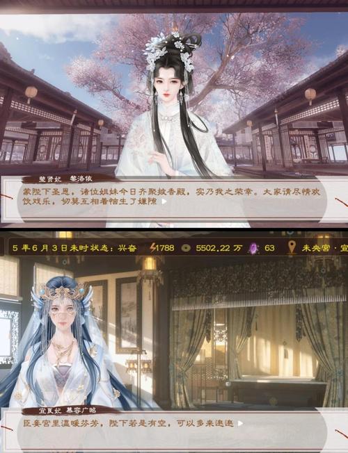 后宫佳丽在哪下载？最全下载途径分享