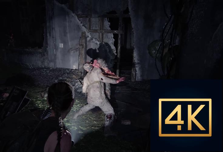 最后的生还者2游戏介绍：精彩游戏画面，带你体验末日世界