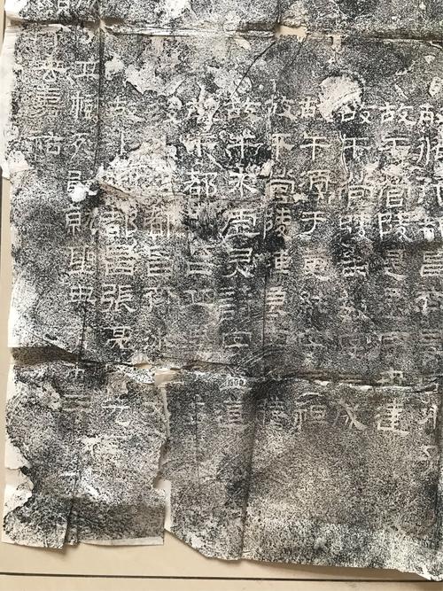 拓君和他的九个姐妹更新地址及下载方法详解:简单易懂