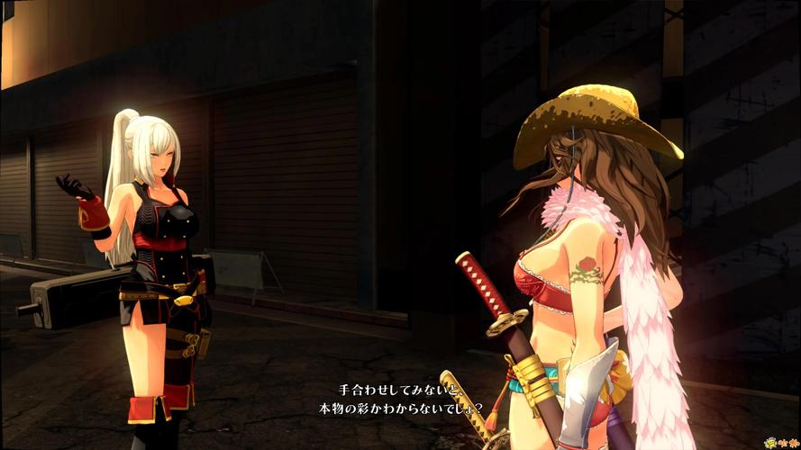 御姐玫瑰绅士游戏推荐：好玩又刺激的战斗体验