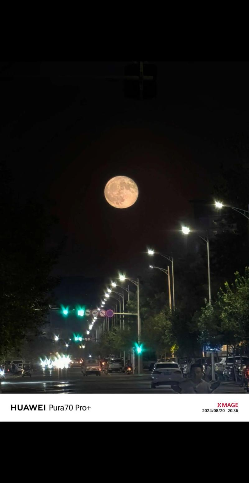 最新失落的月亮版本大全:剧情、画面、玩法全面解析