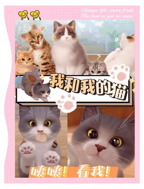 当你的猫咪安卓版攻略:新手玩家必看游戏技巧