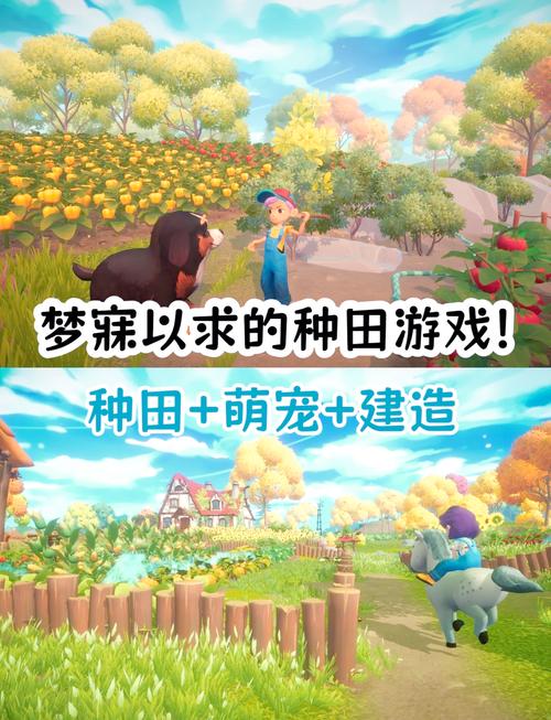 精灵谷安卓游戏下载：体验梦幻精灵世界