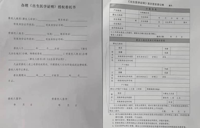 各种出生证明版本大全:附详细填写指南和注意事项