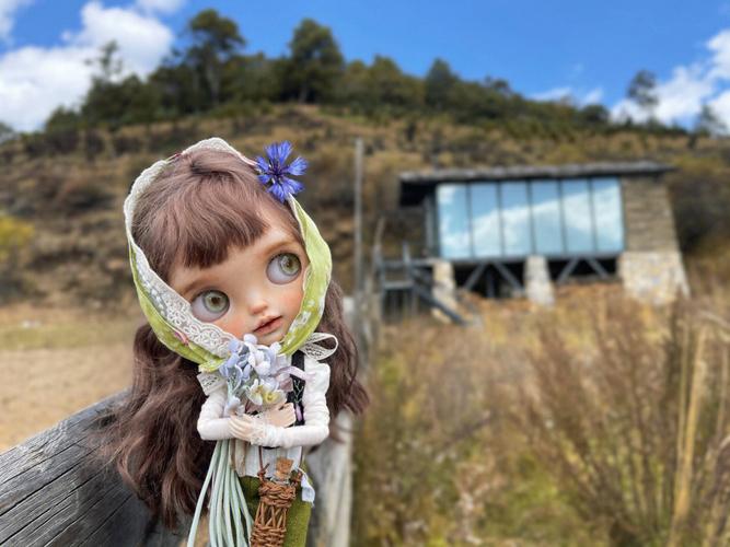 后宫牧场生活绅士游戏：养成美女，经营你的牧场