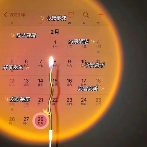 2月28日jinricp资源下载，高清视频都在这里！