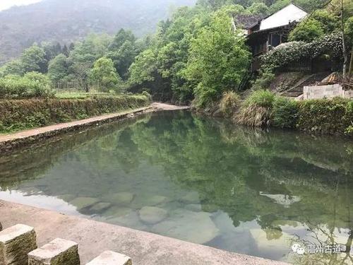 寻找肉壺村最新版本？这里有你需要的全部资源！