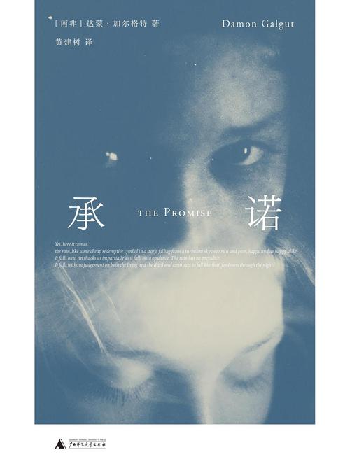 一个最好不要兑现的承诺aya线最新版本下载