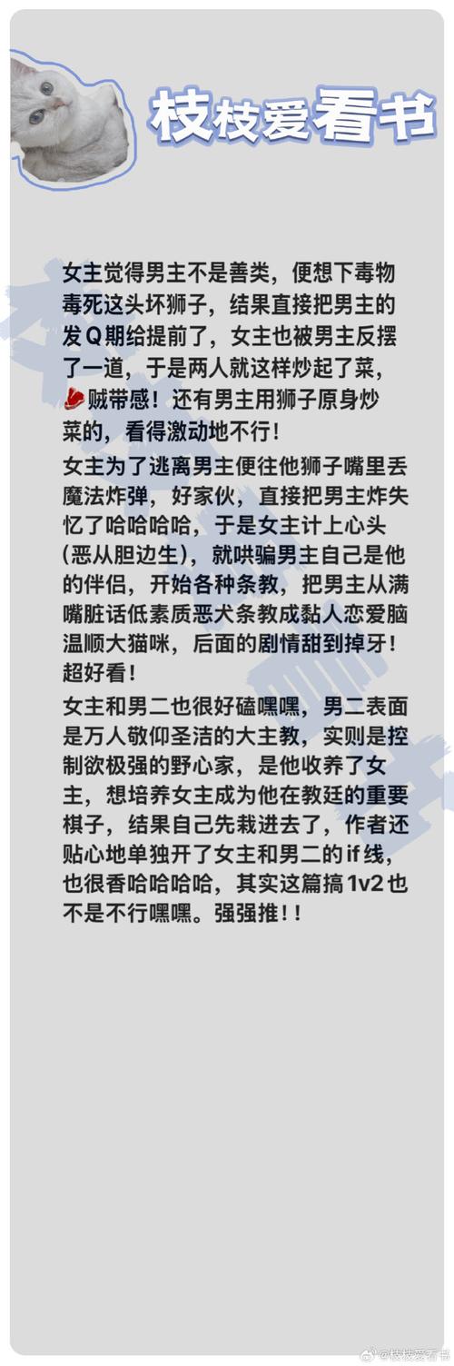 臭作版本大全深度解析:揭秘各个版本之间的差异!