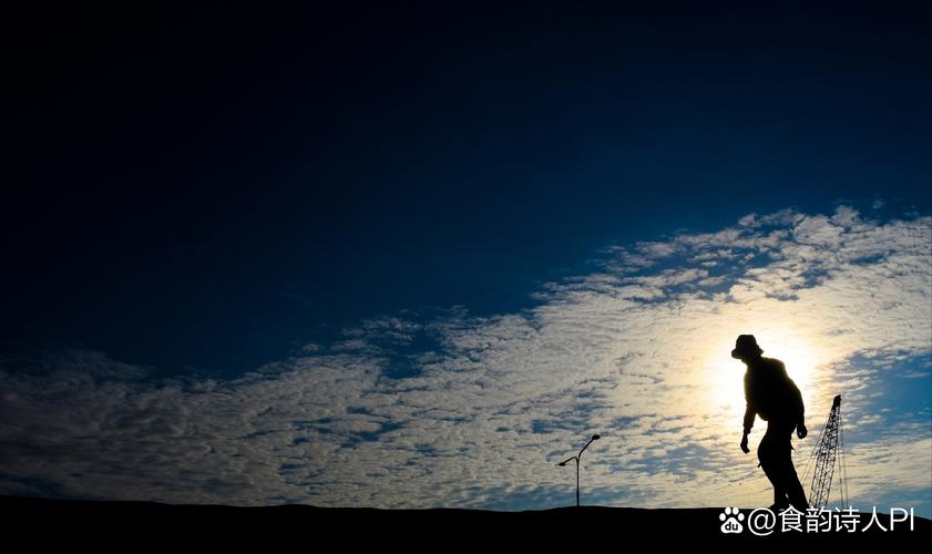 最新消息！孤独的陌生人更新地址及在线观看方法