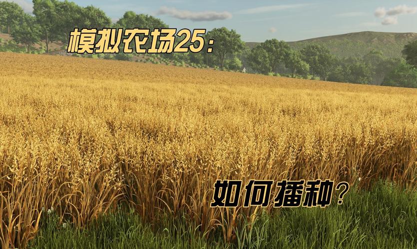 我的播种农场版本大全：不同版本区别与玩法详解