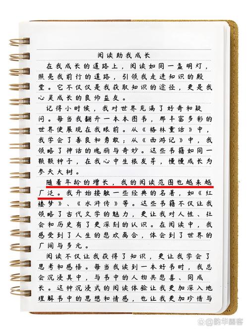 微小的我官网:用爱与成长书写人生篇章