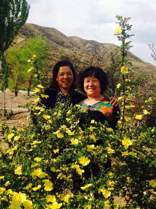 烂漫最新版本是多少集？高清完整版在哪看？