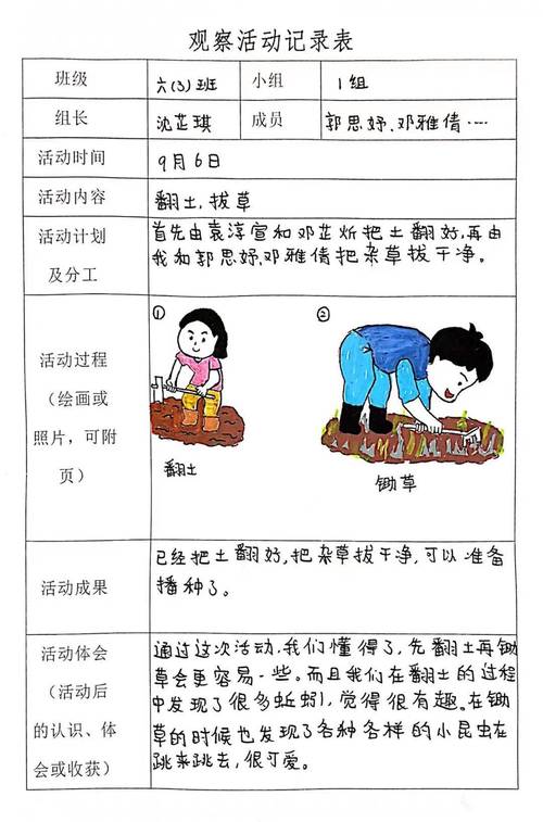 我的播种农场版本大全：不同版本区别与玩法详解