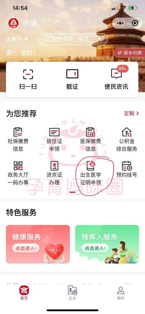 出生证明游戏攻略：玩法介绍及剧情深度解析