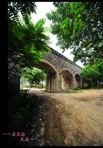 寻找扭曲的记忆下载?这里有你需要的各种下载资源