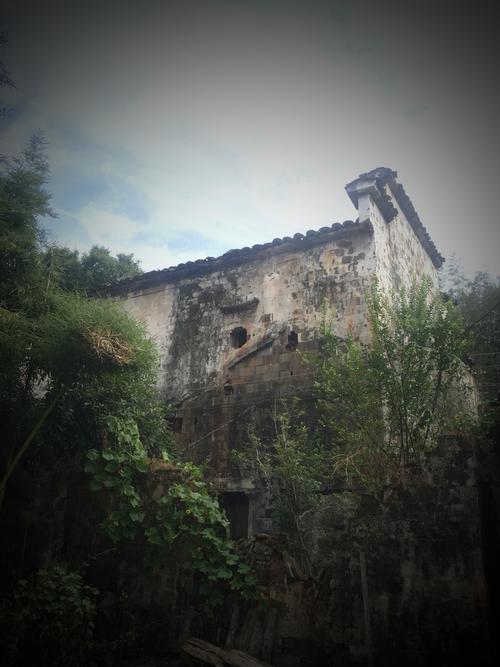 寻找扭曲的记忆下载?这里有你需要的各种下载资源