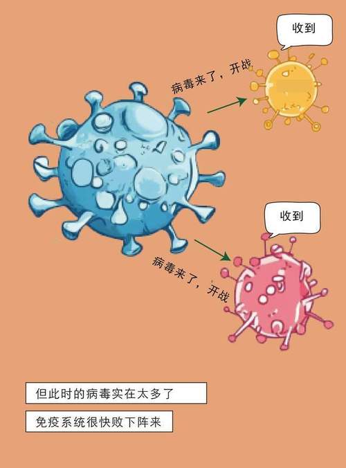 亲密接触最新进展：追踪病毒感染源头和传播路径