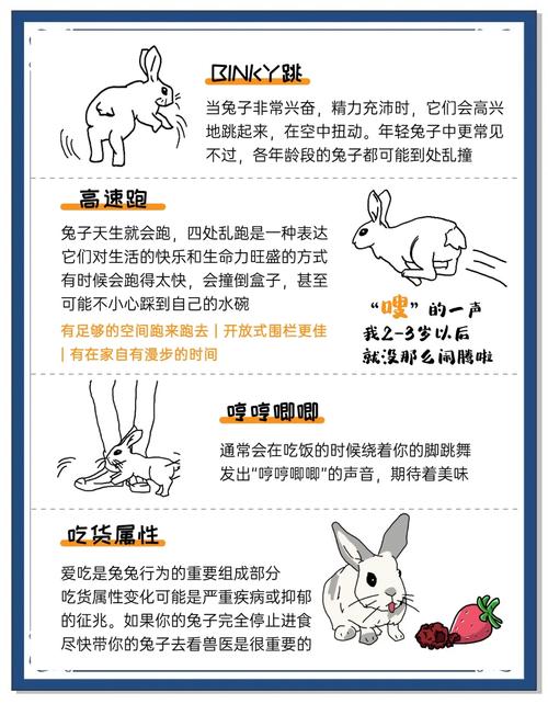 兔兔秘密花园游戏介绍：带你走进神秘的兔子乐园