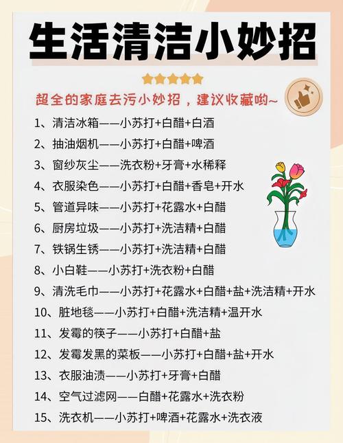 家务最新版本功能详解：轻松搞定所有家务