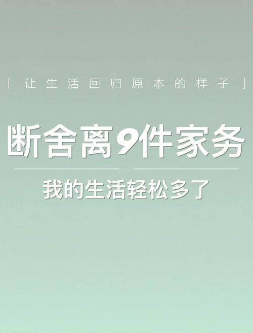 家庭事务汉化版下载安装:省时省力,让家务管理更轻松