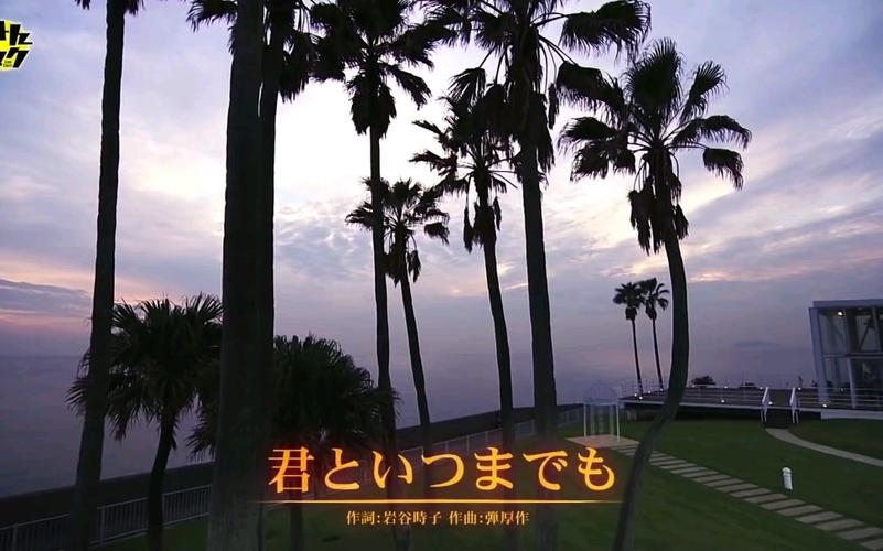 寻找拓君和他的九个姐妹版本大全：资源分享与体验心得