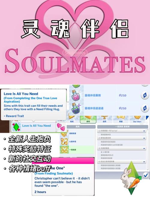 灵魂伴侣汉化版下载：安卓和PC双端资源