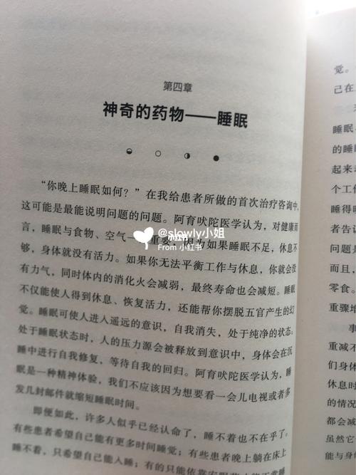 改变生活的选择游戏详解：人生抉择的奇妙冒险之旅