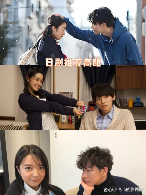 我们的家版本大全：你想知道的都在这里