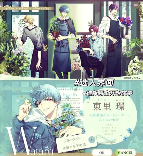 编年史NTR完结版游戏官网：剧情丰富，结局震撼的NTR游戏