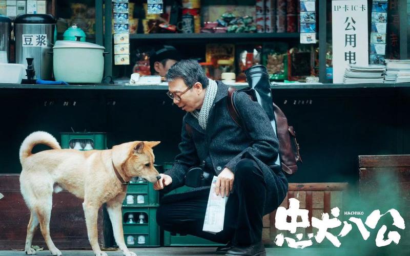 下载人狗情未了官方正式版:获取最新版高清电影