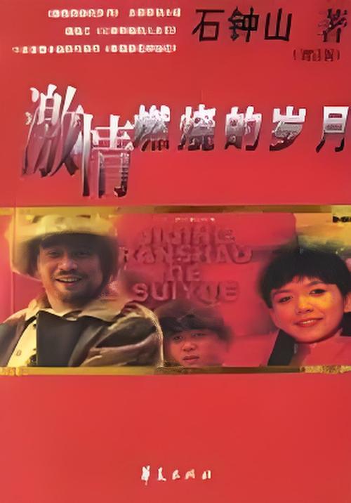 好玩的激情燃烧的岁月安卓汉化游戏推荐