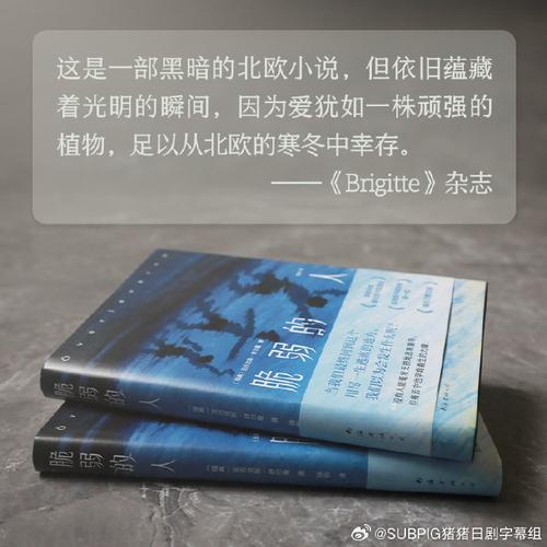 家庭的秘密下载地址,隐藏的黑暗与真相