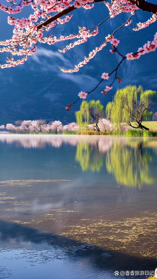 桃花境下载地址大全,安全可靠的下载途径