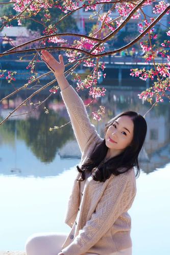 烂漫最新版本是多少集？高清完整版在哪看？