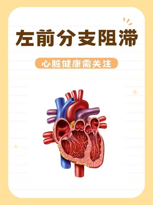 关注心脏健康:心脏问题最新进展及自我保健指南