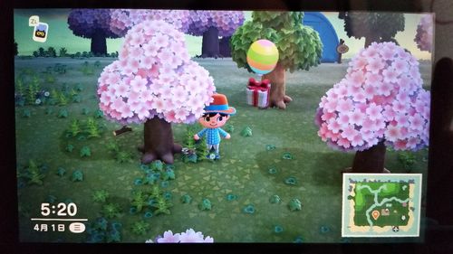 快速下载大和抚子汉化版,体验完整游戏内容