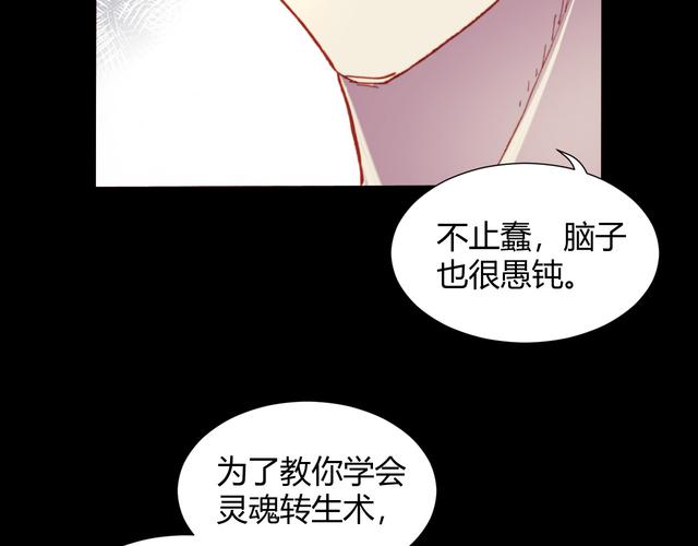 姬之岛最新故事:五年后的重逢,能否解开谜团?