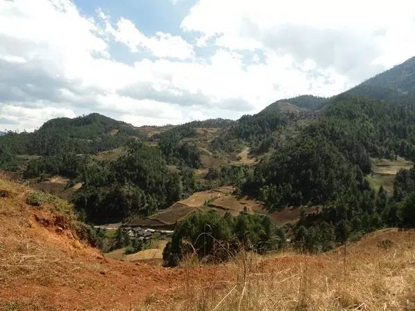 寻找肉壺村最新版本？这里有你需要的全部资源！