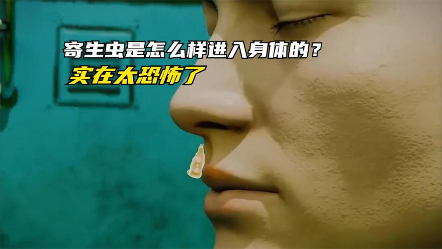 还在找内部寄生虫更新地址？这里有你想要的