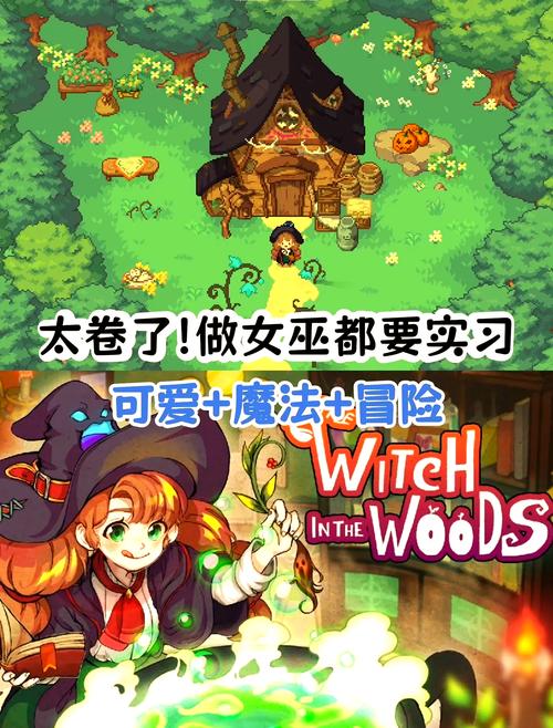 神奇女巫1安卓版下载教程:轻松上手魔法之旅