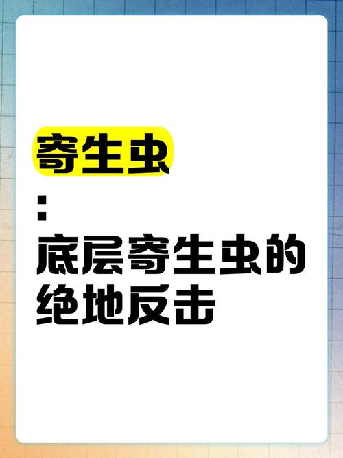 内部寄生虫最新版本更新：有哪些新内容值得期待